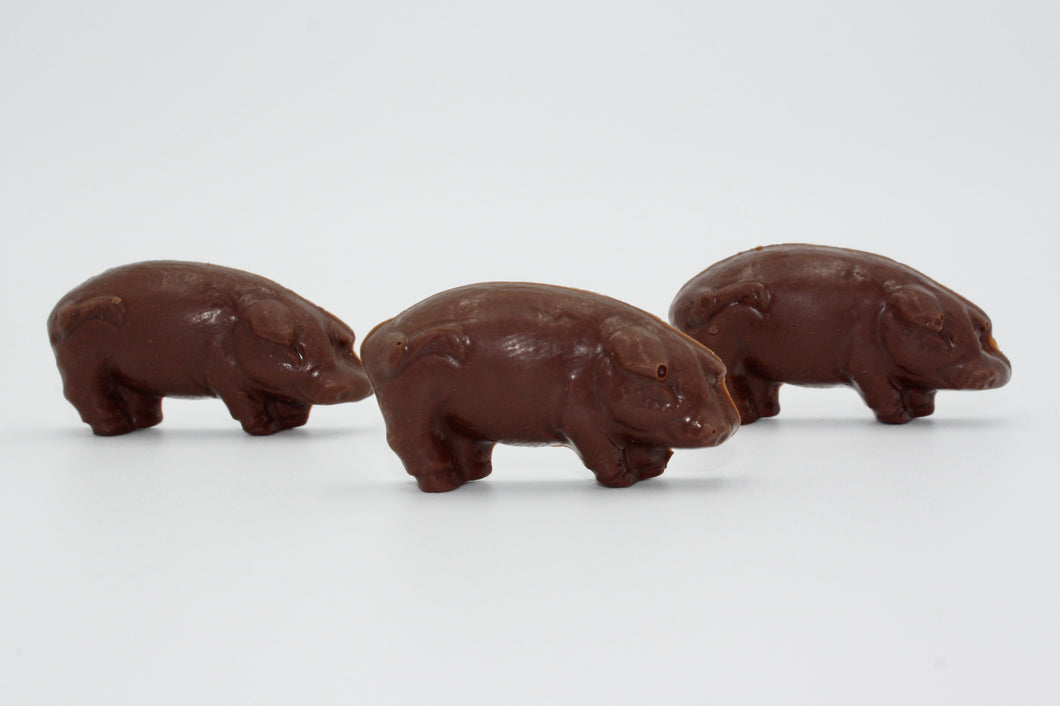Swiss Chocolate Pig Pack