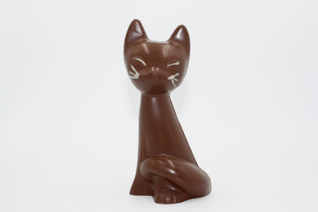 Swiss Chocolate Siamese Cat